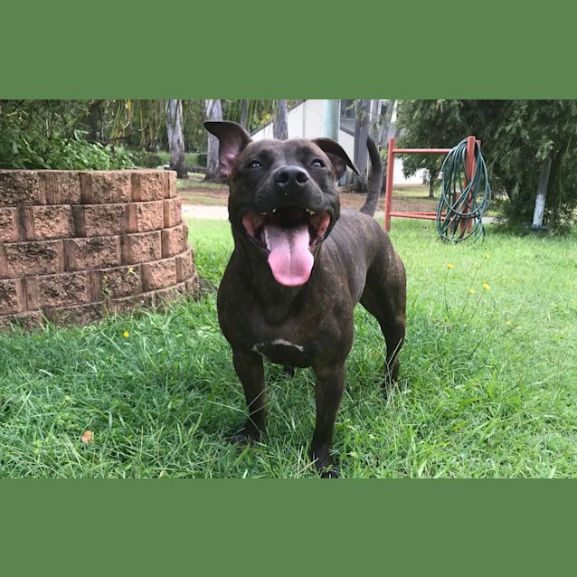 Photo of Bella 🔔 