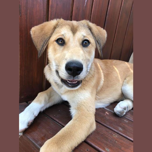 Photo of Giuli