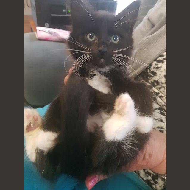 Photo of Sebastian 