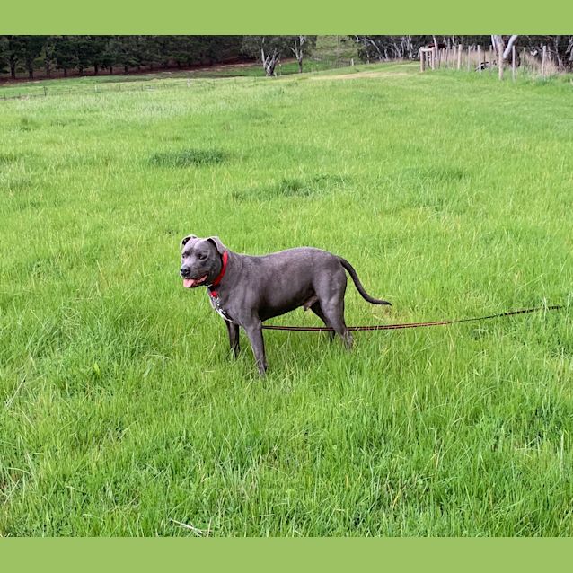 Photo of 💙Billy💙