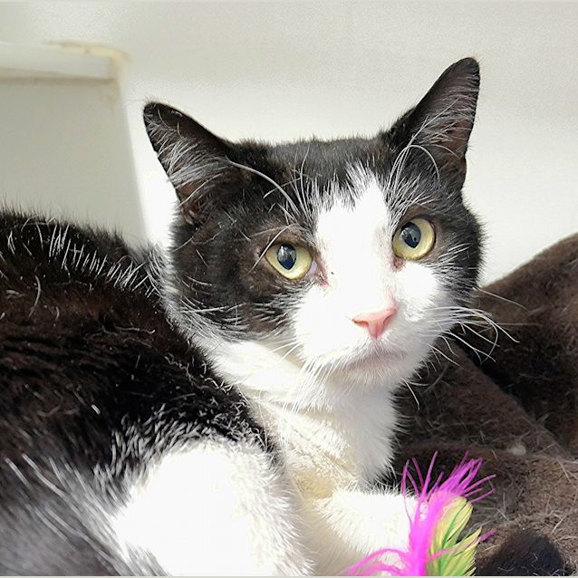 Photo of Humphrey Suk004245