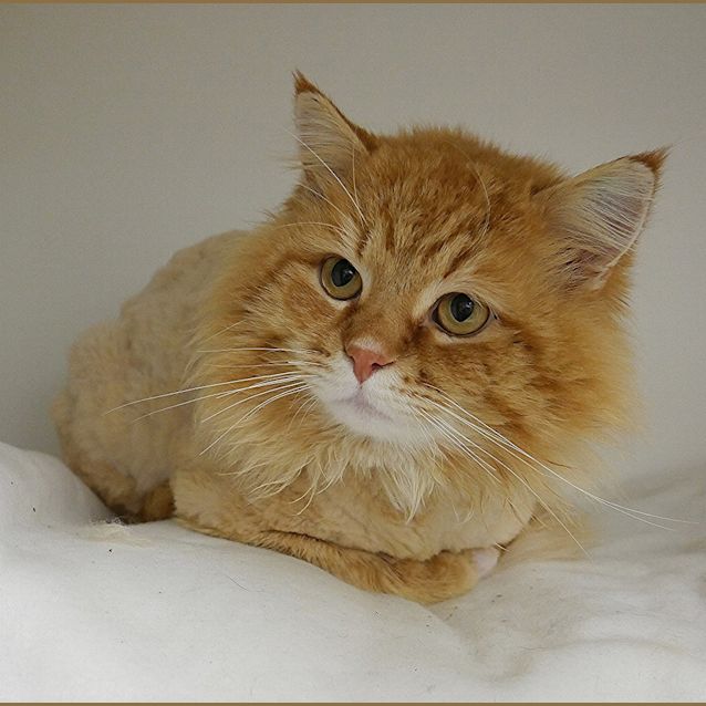 Photo of Nacho Sua004344