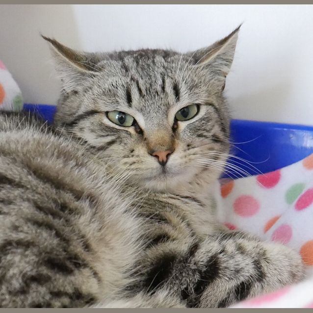 Photo of Monty Suk004358