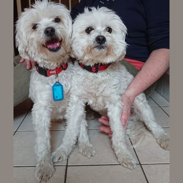 Photo of Penny & Champagne