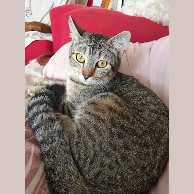 Photo of Precious