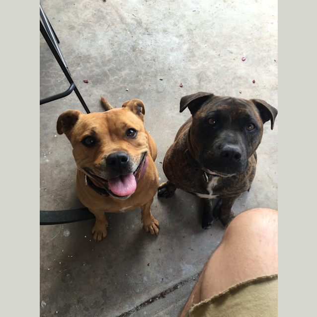 Photo of Arnie & Layla