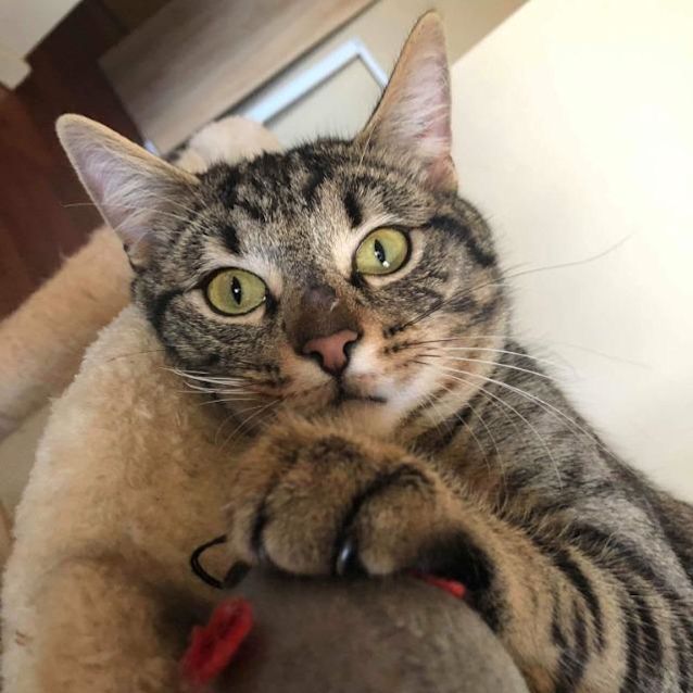 Photo of Bruno