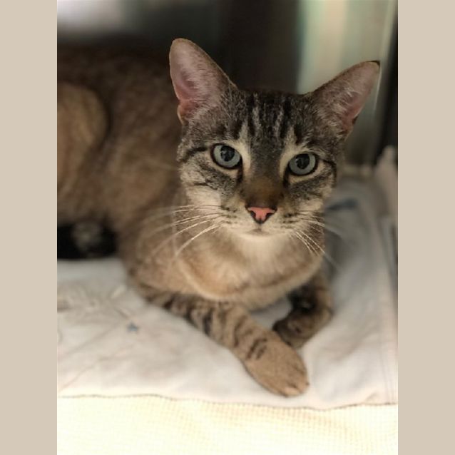 Photo of Jasper