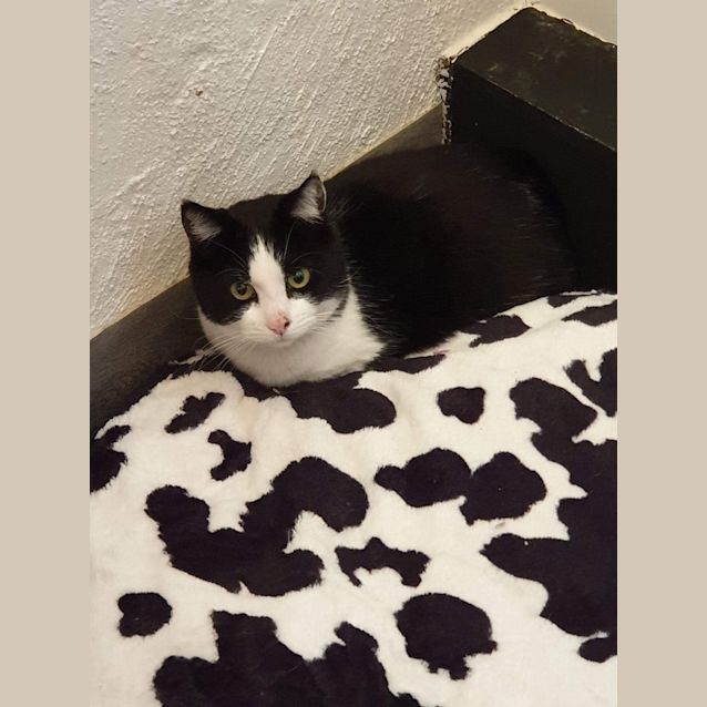 Photo of Rubi  Meet Me At Nelly's Ark In Fairfield