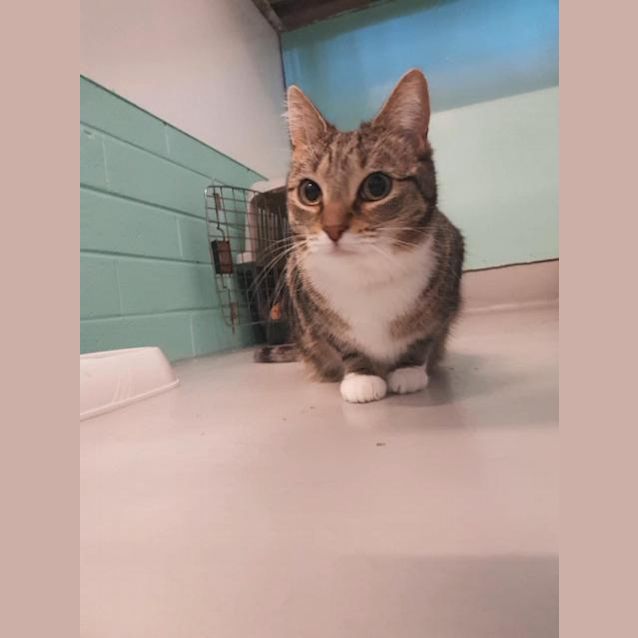 Photo of Tinkerbell