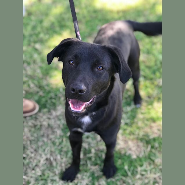 Photo of Jasper