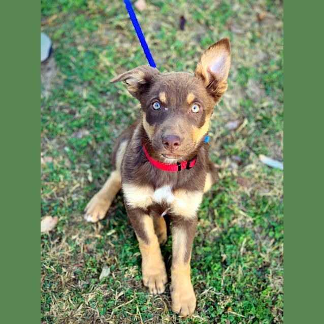 Photo of Lyric