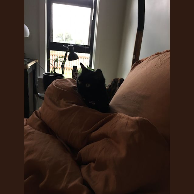 Photo of Mojito   Located In Northcote