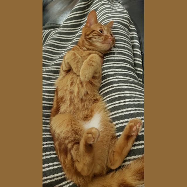 Photo of Charlie   Meet Me At Neko Hq In Preston