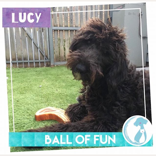Photo of Lucy