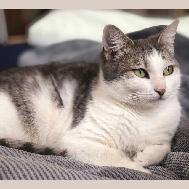 Photo of Selina Sta004164
