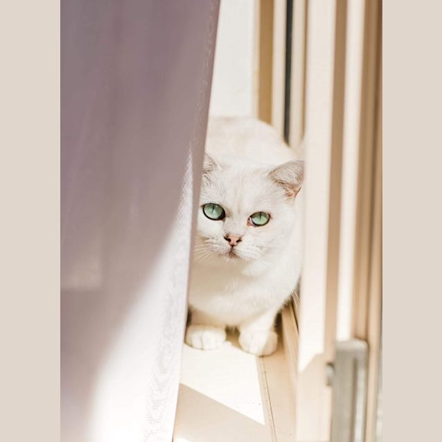 Photo of 161   Patti