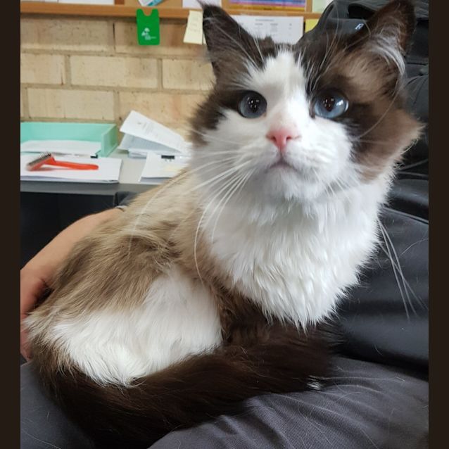 Photo of Kiki