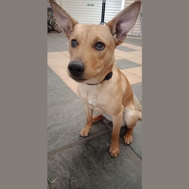 Photo of **On Trial** Coco