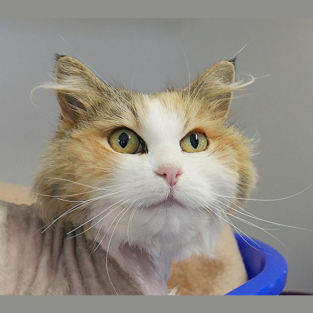 Photo of Mitzy Sua004385