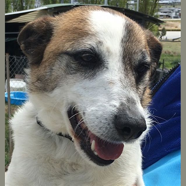 Photo of Patch