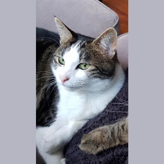 Photo of Callie Lily