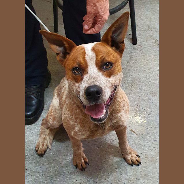 Photo of Red (3102019)