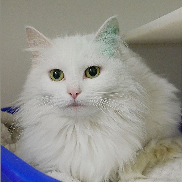Photo of Elsa Sta004379