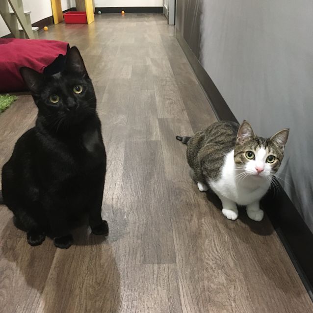 Photo of Jason & Fred