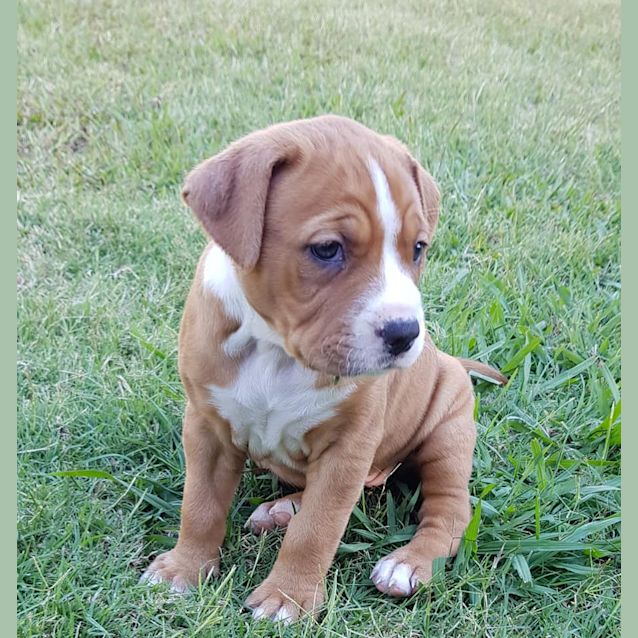 Photo of Duchess