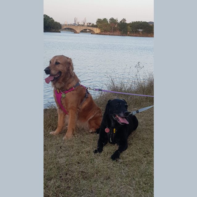 Photo of Dalby & Maggie