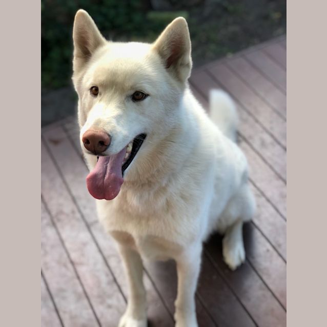 Photo of Ghost