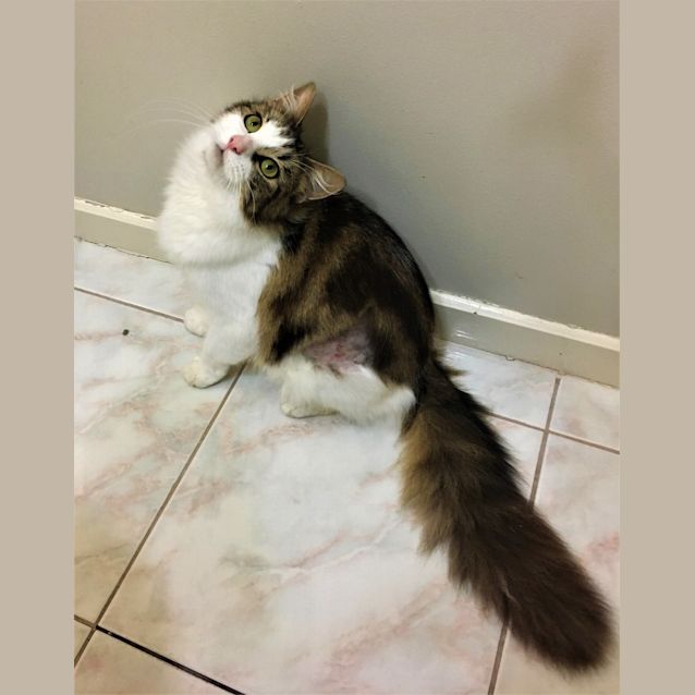 Photo of Barb Aka Barbie Girl