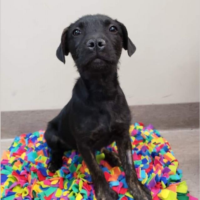 Photo of Cash