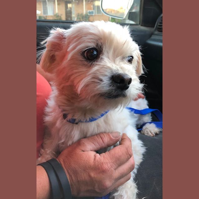 Photo of Louie