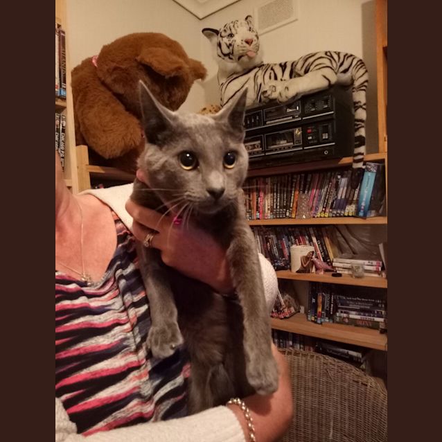 Photo of Gandalf Grey
