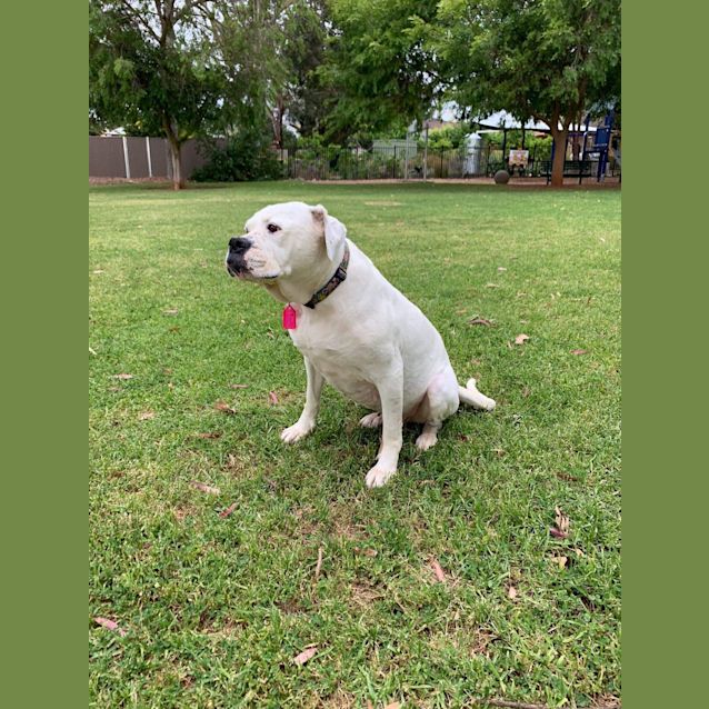 Photo of **On Trial**Molly