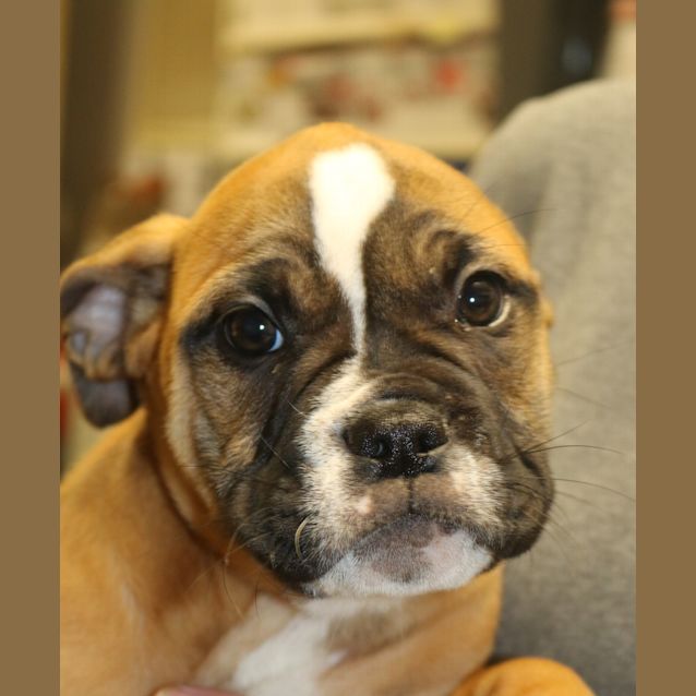 Photo of Mercy