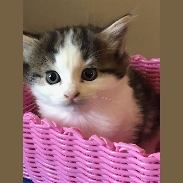 Photo of Miss Jane