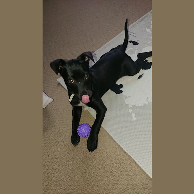 Photo of Gucci ❤