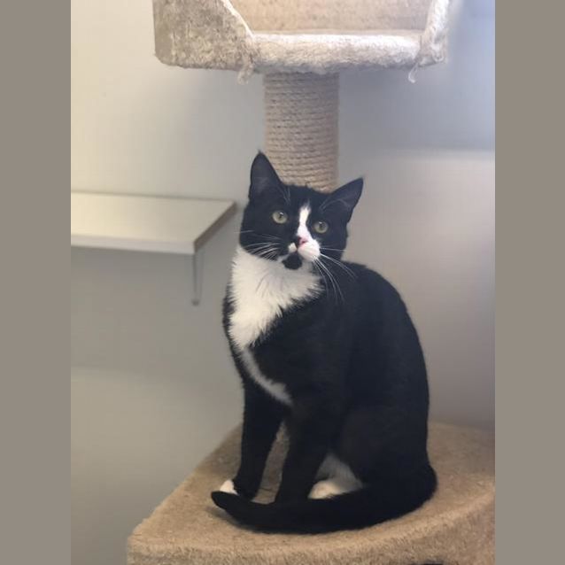 Photo of Jive