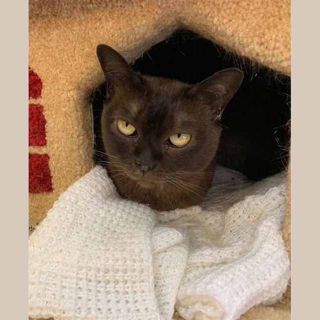 Photo of Annie