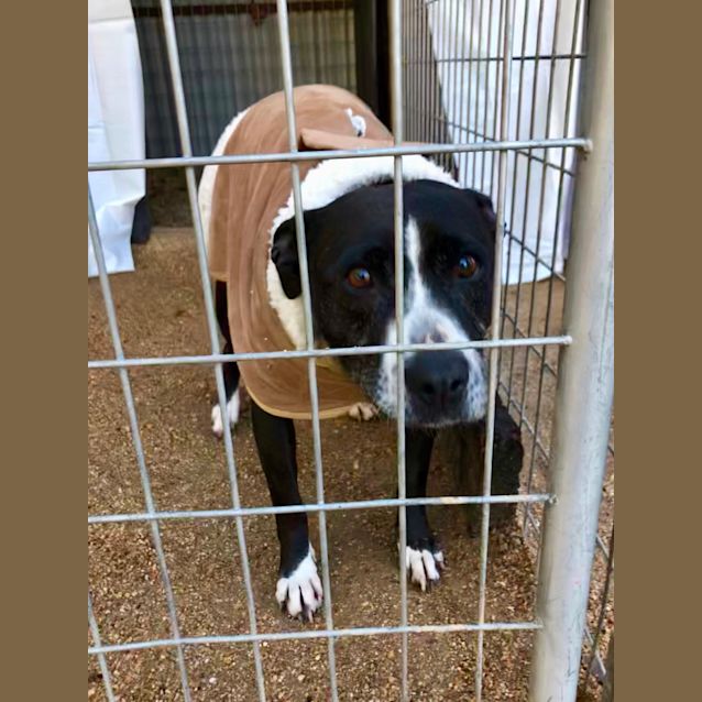 Photo of 💞Zephie💞