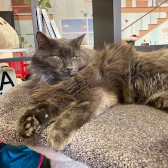 Photo of Frank At Hq – Meet Me At Neko Hq In Preston