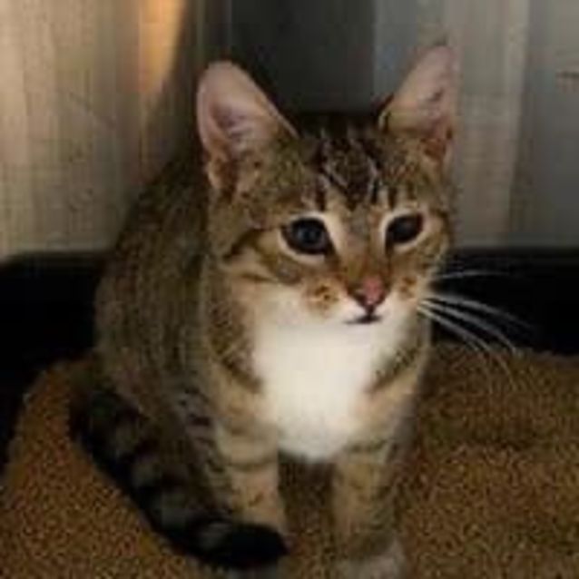 Photo of Cleo