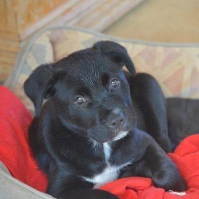 Photo of Bailee