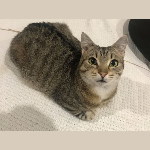 Photo of Darling Sweet Buttons