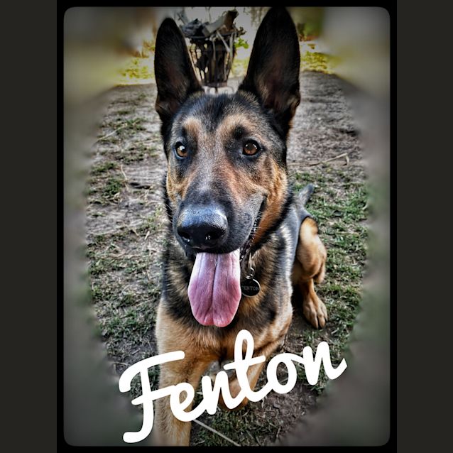 Photo of Fenton