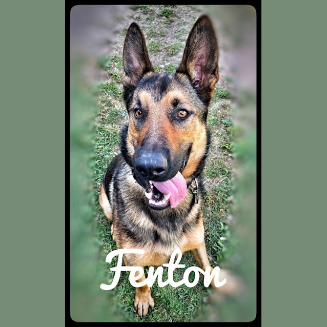 Photo of Fenton