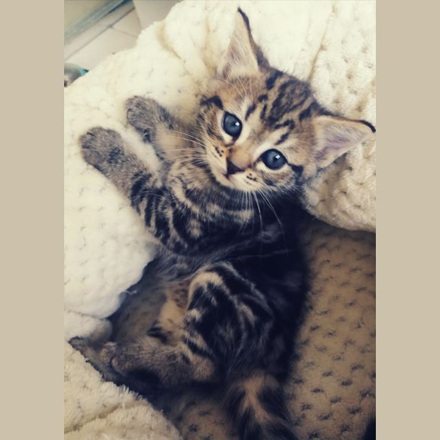 Photo of Elara